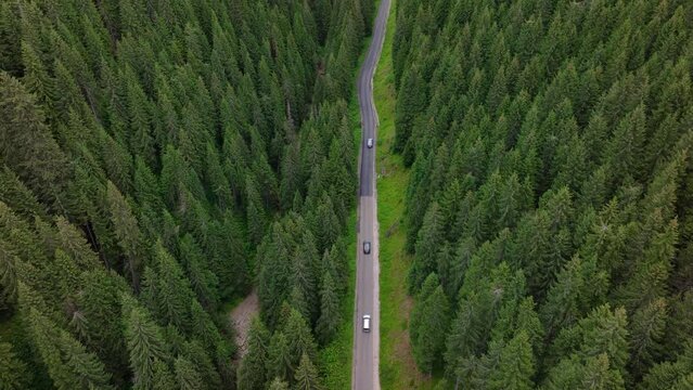 Aerial view flying over old patched two lane forest road with cars moving. Green trees of dense woods growing both sides. Vehicles driving in convoy along the forest road. Driving through pine forest.