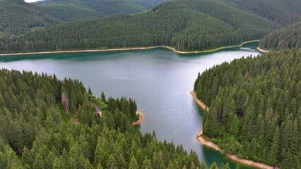 Aerial view of blue lake and green forests. Mountain forest lake with pine trees. View on the lake between mountain forest. Over crystal clear mountain lake water. Fresh water. Mountain road