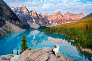 Woman taking a Photo, Moraine Lake  during summer in .Banff National Park, Canadian Rockies, Alberta, Canada...Banff National Park, Alberta, Canada