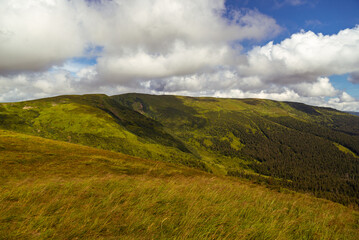 Fototapeta premium landscape in the mountains