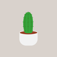 illustration cactus plant with white pot