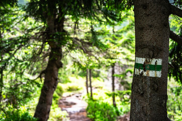 Obraz premium Sudetes, Giant Mountains, Śnieżne Kotły, Schneegruben, Karkonosze, Sudety, Karkonosze, Szrenica, Dolny Slask