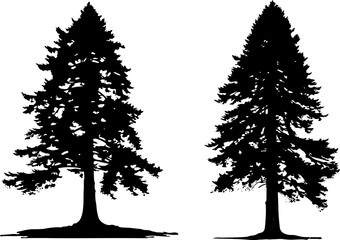 redwood tree silhouette set illustration - obrazy, fototapety, plakaty