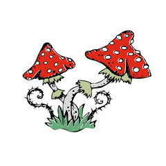 Fly agaric is a poisonous mushroom. Vector