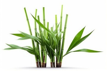 Obraz premium Green bamboo plant. Generate Ai