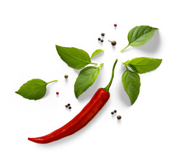 Fresh green organic basil leaves and red chili peper isolated on white background. Transparent...