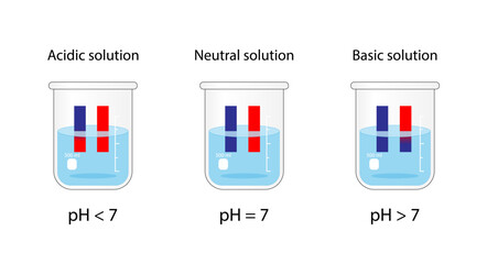 PH indicator. Acidic, neutral, basic solution. Color change of blue litmus paper to red for acids, red litmus paper to blue for bases and No change for neutral solution. Vector scientific design.