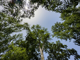 Beautiful views of the Cantabrian coast