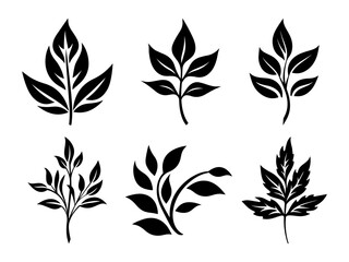 Set black branches with leaves, natural herbal decorative element, plant silhouette. Botanical illustrations for spring design or decor. Foliage decoration for invitations. Set leaves silhouettes.