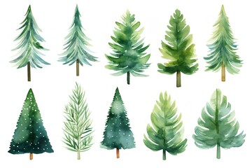 Whimsical Watercolor Christmas Trees: Festive Set"