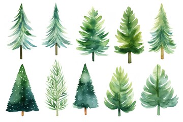 Fototapeta premium Whimsical Watercolor Christmas Trees: Festive Set