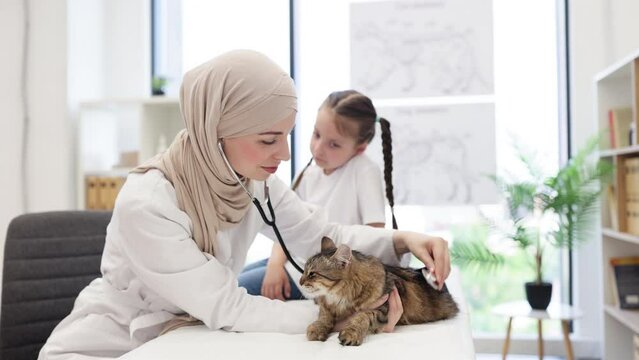 Skilled veterinary examining pet with little girl in clinic