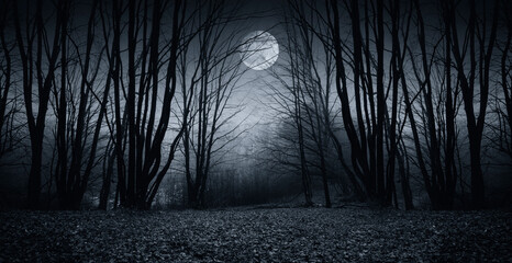 full moon over dark spooky forest at night - 635451761