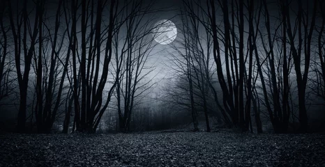 Foto op Aluminium full moon over dark spooky forest at night © andreiuc88