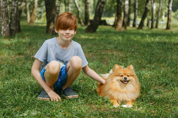 The boy pets a small dog on the green grass in the park. Friendship between man and animal.