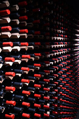Wall of wine bottles