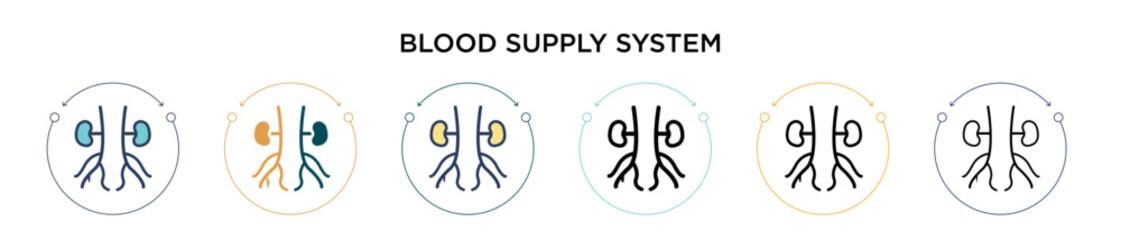 Blood supply system icon in filled, thin line, outline and stroke style. Vector illustration of two colored and black blood supply system vector icons designs can be used for mobile, ui, web