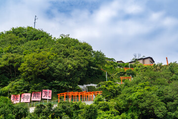 荒熊神社の赤い鳥居が連なる参道　愛知県南知多町
