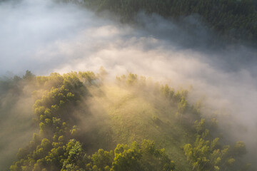 Summer aerial landscape above the foggy forest