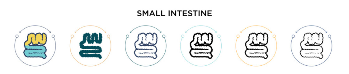 Small intestine icon in filled, thin line, outline and stroke style. Vector illustration of two colored and black small intestine vector icons designs can be used for mobile, ui, web