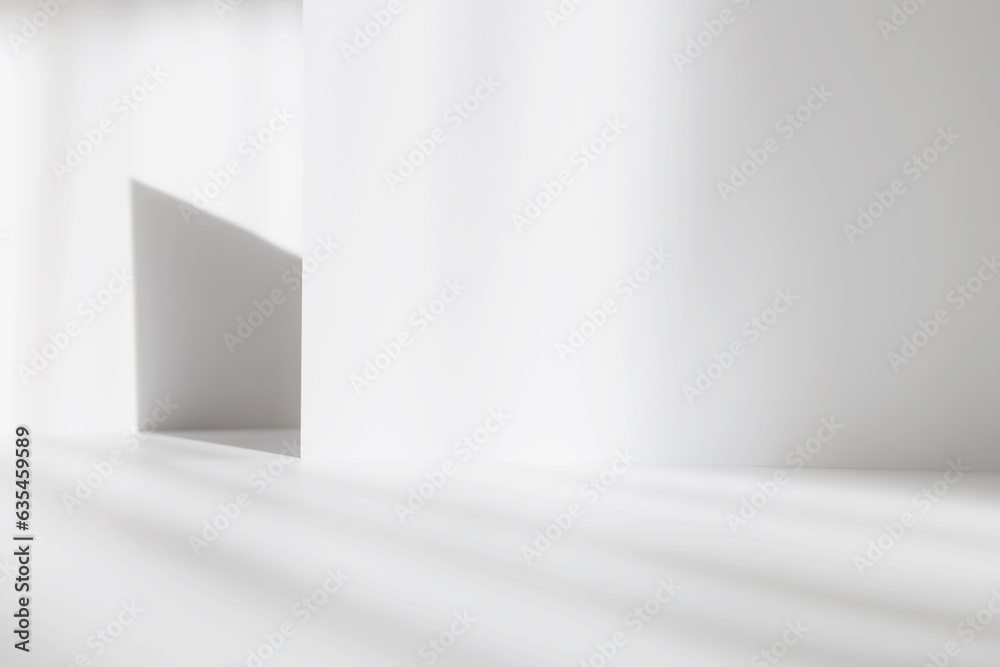 Poster Abstract white studio background for product presentation. Empty gray room with shadows of window. Display product with blurred backdrop.