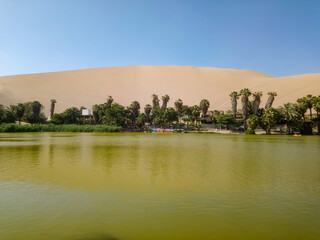 waters of the huacachina lagoon and fine sand with palm trees in ica peru on a sunny day