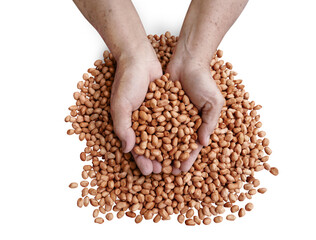 Peanuts in the hands of a farmer on a heap of peanuts PNG transparent