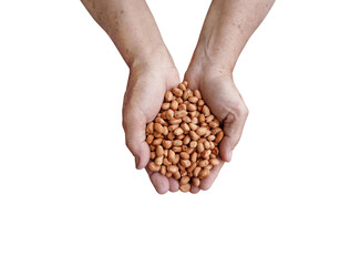 Peanuts in farmer hands  top view PNG transparent