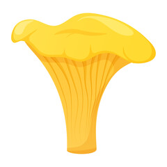 Chanterelle on white background, forest mushroom vector illustration © Katerina