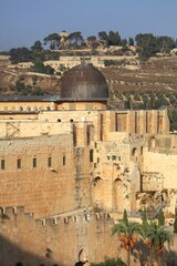 Fototapeta premium Al-Aqsa Mosque in Jerusalem