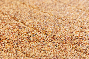 Kozinak healthy cake, Snacks from peanuts, pine nuts. Concept modern food industry