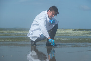 young researchers Researching wastewater caused by plankton bloom Affects aquatic animals and...