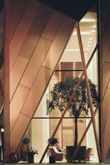 tree within an architectural structure