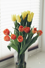windowsill tulips 