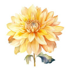 Fall Autumn Flowers Watercolor Clip Art, Fall Autumn Watercolor Illustration, Flowers Sublimation Design, Flower Clip Art.