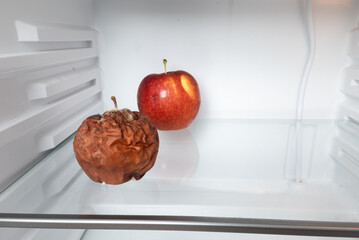 Moldy apple on the shelf of an open refrigerator. Two apples, moldy in the foreground and ripe in...