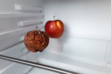 Moldy apple on the shelf of an open refrigerator. Two apples, moldy in the foreground and ripe in...