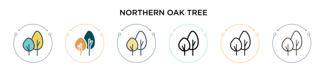 Northern red oak tree icon in filled, thin line, outline and stroke style. Vector illustration of two colored and black northern red oak tree vector icons designs can be used for mobile, ui, web