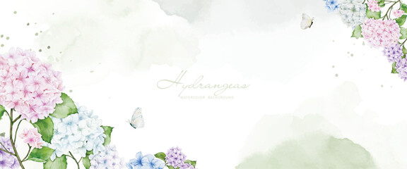 Horizontal background with colorful hydrangea, butterflies and stains