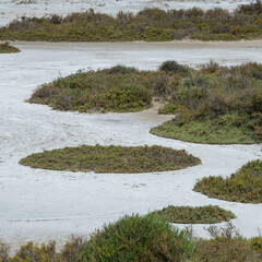 Pink Ponds In Man-made Salt Evaporation Pans In Camargue, Salin de Guiraud, France. High quality photo