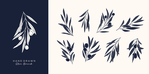 Olive Branch for olive oil logo or olive icon, hand drawn olive branch botanical herbs elements in vector format, floral olive frame and border virgin oil