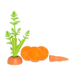 Sliced carrot set isolated on white background. Design elements with clipping path