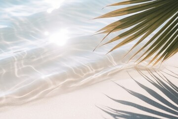 palm leaf shadow on abstract white sand beach background