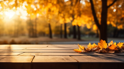 Autumn table with yellow leaves and wooden plank at sunset in forest 