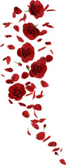 3d render falling red rose flower