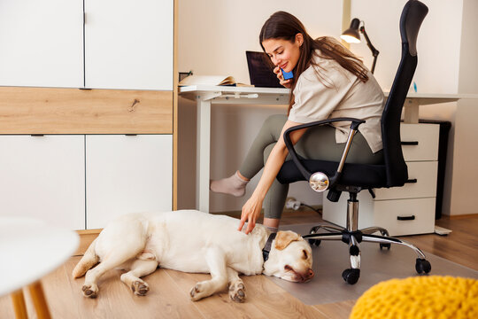 Woman speaking on the phone and petting her dog while working in home office