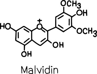 chemical bond handwritten lettering