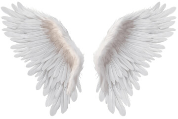 Realistic Angel Wings having Transparent Background, PNG, Generative Ai