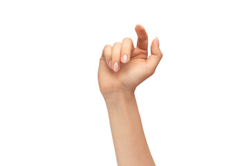Female hand with pale skin pointing or touching isolated on a white background.