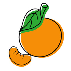 orange fruit illustration